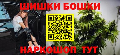 прущие грибы Обнинск