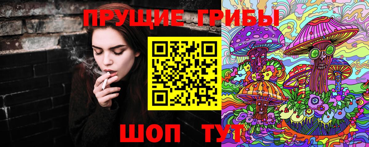 Сердобск  Псилоцибиновые грибы мухоморы  Вход с VPN 